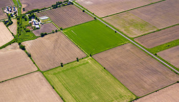 Category image: Real Estate & Rentals